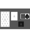 Wholesale BIZON Clear 3x screen glass + camera glass Pixel 7A - BIZ356 - {ean13} - Hurt