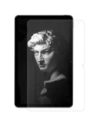 Wholesale Bizon Film Tab Papirus OPPO Pad Neo [2 PACK] - BIZ5159 - {ean13} - Hurt