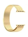 Wholesale Bizon Strap Watch Titanium Apple Watch 44/45/46/49 mm gold - BIZ5439 - {ean13} - Hurt