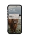 Wholesale Bizon Case Tur Apple iPhone 16 black - BIZ6578 - {ean13} - Hurt