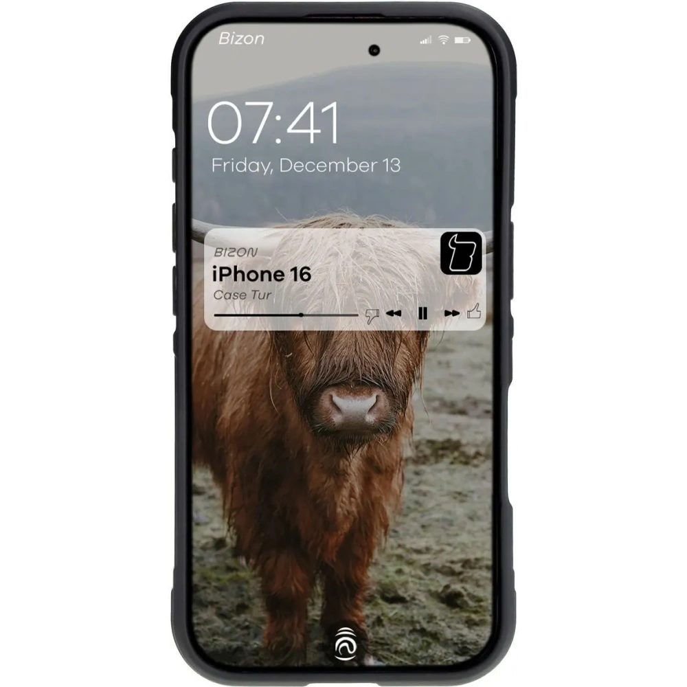 Wholesale Bizon Case Tur Apple iPhone 16 black - BIZ6578 - {ean13} - Hurt
