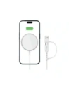 Hurtownia GSM - Tech-Protect QI15W-A44 Magnetic MagSafe Vezeték nélküli Töltő Fehér - THP3658 - {ean13} - Hurt