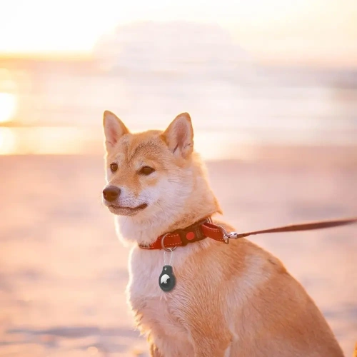 Etui Tech-Protect Rough Vein Apple Airtag Black [2 PACK]