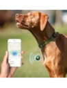 Wholesale Tech-Protect Icon Apple AirTag Clear [4 PACK] - THP3741 - {ean13} - Hurt