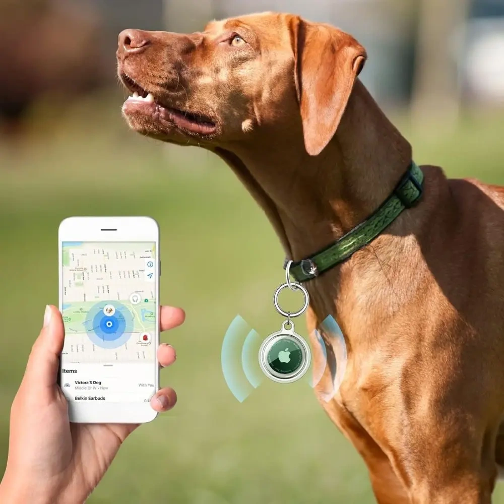 Hurtownia GSM - Tech-Protect Ikon Apple AirTag Átlátszó [4 CSOMAG] - THP3741 - {ean13} - Hurt