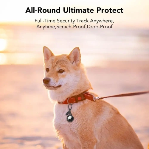 Etui Tech-Protect Rough Chain Apple Airtag Black [2 PACK]