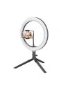 Wholesale Blitzwolf BW-SL3 Tripod with LED Lamp - BLZ217 - {ean13} - Hurt