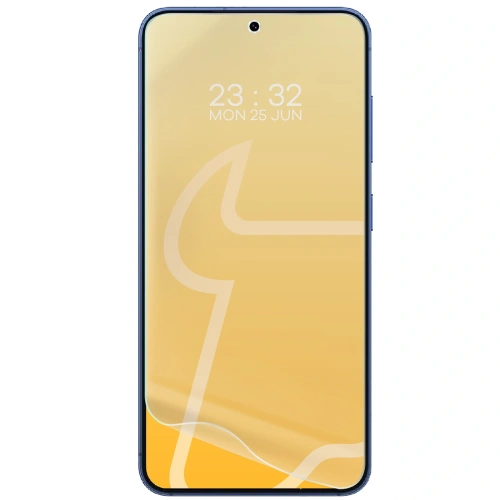 Folia matowa Bizon Glass Film Sun do Samsung Galaxy S25 [2 PACK]