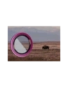 Wholesale Bizon Glass Snap Lens Apple iPhone 16 / 16 Plus pink frame - BIZ8635 - {ean13} - Hurt