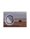 Wholesale Bizon Glass Snap Lens Apple iPhone 12 / 12 Mini / 11 purple frame - BIZ8637 - {ean13} - Hurt