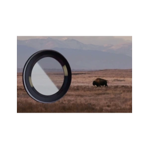 Wholesale Bizon Glass Snap Lens for Realme C75 black frame - BIZ8845 - {ean13} - Hurt