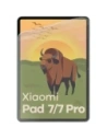 Folia matowa Bizon Glass Tab Film Sun do Xiaomi Pad 7 / 7 Pro [2 PACK]