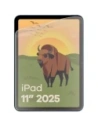 Wholesale BIZON Glass Tab Film Sun Apple iPad 10.9" 2022 / 11" 2025 [2 PACK] - BIZ9276 - {ean13} - Hurt