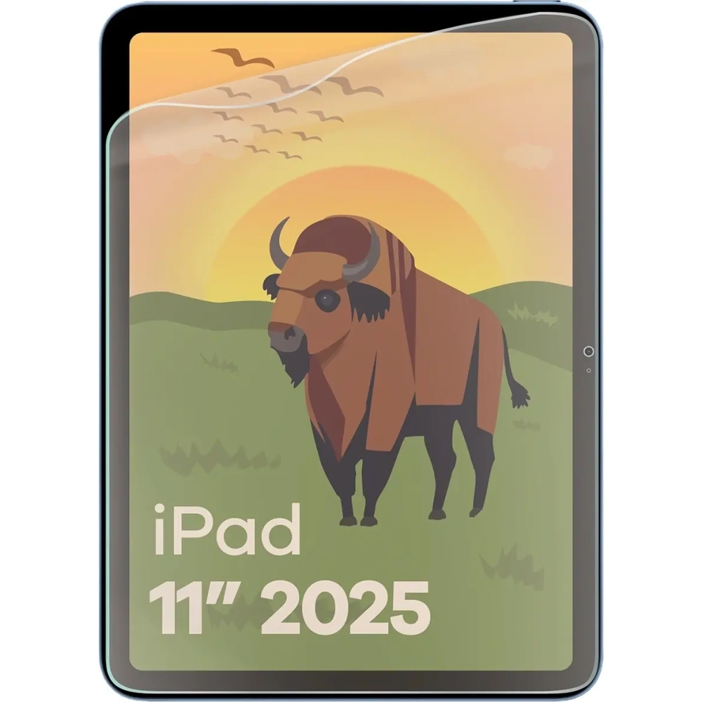 Wholesale BIZON Glass Tab Film Sun Apple iPad 10.9" 2022 / 11" 2025 [2 PACK] - BIZ9276 - {ean13} - Hurt
