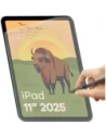 Wholesale BIZON Glass Tab Film Sun Apple iPad 10.9" 2022 / 11" 2025 [2 PACK] - BIZ9276 - {ean13} - Hurt