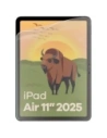 Hurtownia GSM - BIZON Glas Tab Film Sonne Apple iPad Air 13" 2024 / 13" 2025 [2 PACK] - BIZ9297 - {ean13} - Hurt
