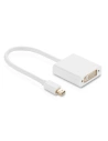 UGREEN 10402 Adapter Mini Display Port to DVI, 15cm (white)
