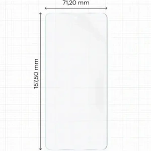 Bizon Glass Film Sun Oppo Reno13 F [2 PACK]