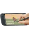 Wholesale Bizon Glass Tab Film Sun Nintendo Switch 2 [2 PACK] - BIZ9663 - {ean13} - Hurt
