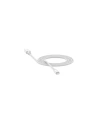 Wholesale Mophie Lightning - USB-C Cable 1.8m (white) - MPH007WHT - {ean13} - Hurt