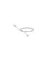 Wholesale Mophie Lightning - USB-C Cable 1m (white) - MPH009WHT - {ean13} - Hurt