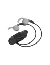 Wholesale iFrogz Earbuds Hub Tone Wireless Earphones (black & gray) - IFG015BLKGRY - {ean13} - Hurt