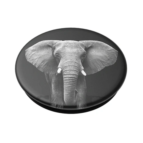 Uchwyt do telefonu POPSOCKETS 2 Loxodonta Africana