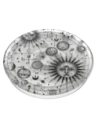 Uchwyt do telefonu POPSOCKETS 2 Plant Cosmic Sun