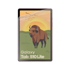 Folia matowa Bizon Glass Tab Film Sun do Samsung Galaxy Tab S10 Lite