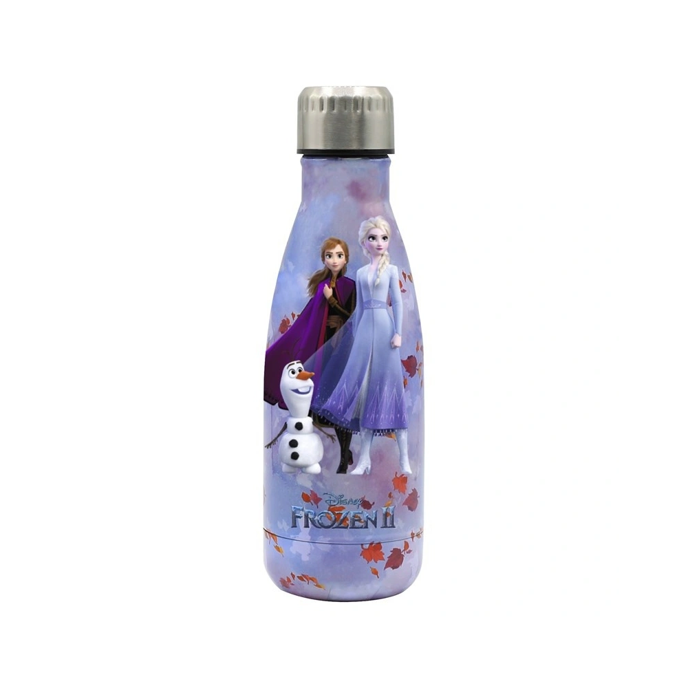 Hurtownia GSM - Lahev z nerezové oceli Disney FROZEN II 500ml Ledové království 2 (Růžová) - DNY004PNK - {ean13} - Hurt