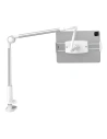 Wholesale Phone / tablet clip holder Baseus Otaku (silver) - BSU1625SLV - {ean13} - Hurt