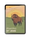 Folia matowa Bizon Glass Tab Film Sun do Apple iPad Pro 11" M5 2025