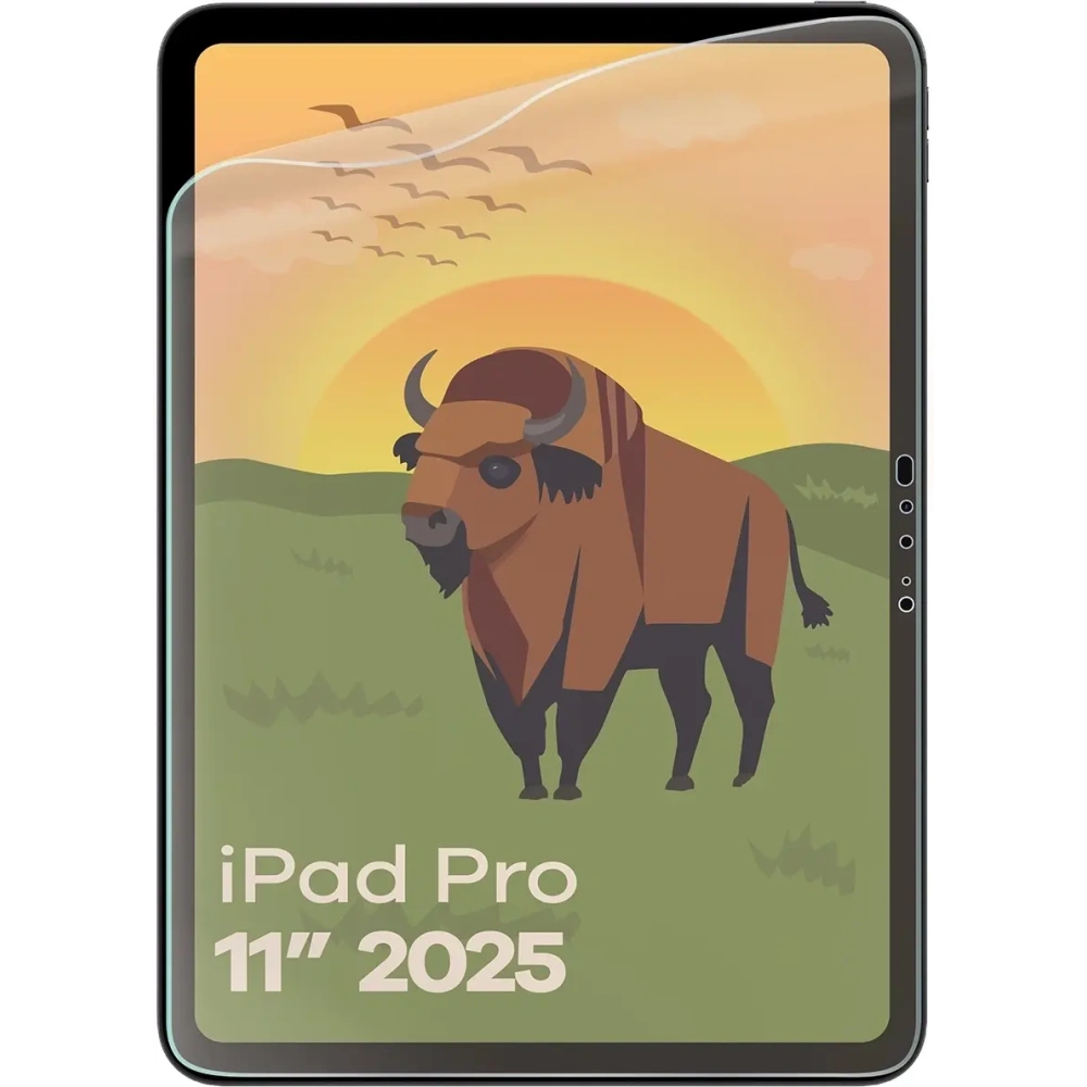 Folia matowa Bizon Glass Tab Film Sun do Apple iPad Pro 11" M5 2025