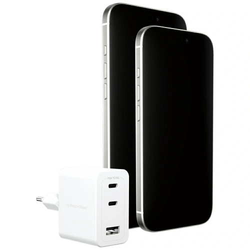 Ładowarka sieciowa Empower by PanzerGlass Turbo 70W 2xUSB-C USB-A srebrno-biały