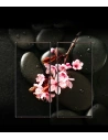 Wholesale Ringke Camera Glass Samsung Galaxy Note 20 Ultra [3 PACK] - RGK1236 - {ean13} - Hurt