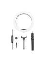 Blitzwolf BW-SL5 Desktop Flash LED RGB Phone Holder