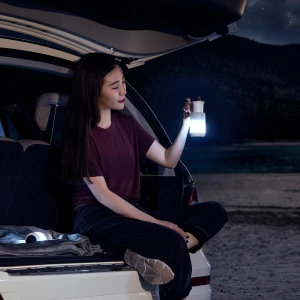 Wholesale Baseus Starlit Night car lamp (white) - BSU1913WHT - {ean13} - Hurt